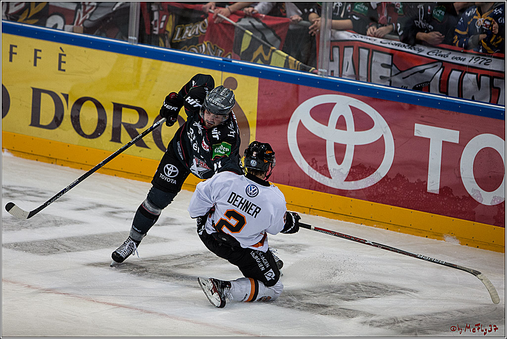 Koelner Haie - Grizzlys Wolfsburg, 16.10.2016, 16.10.2016